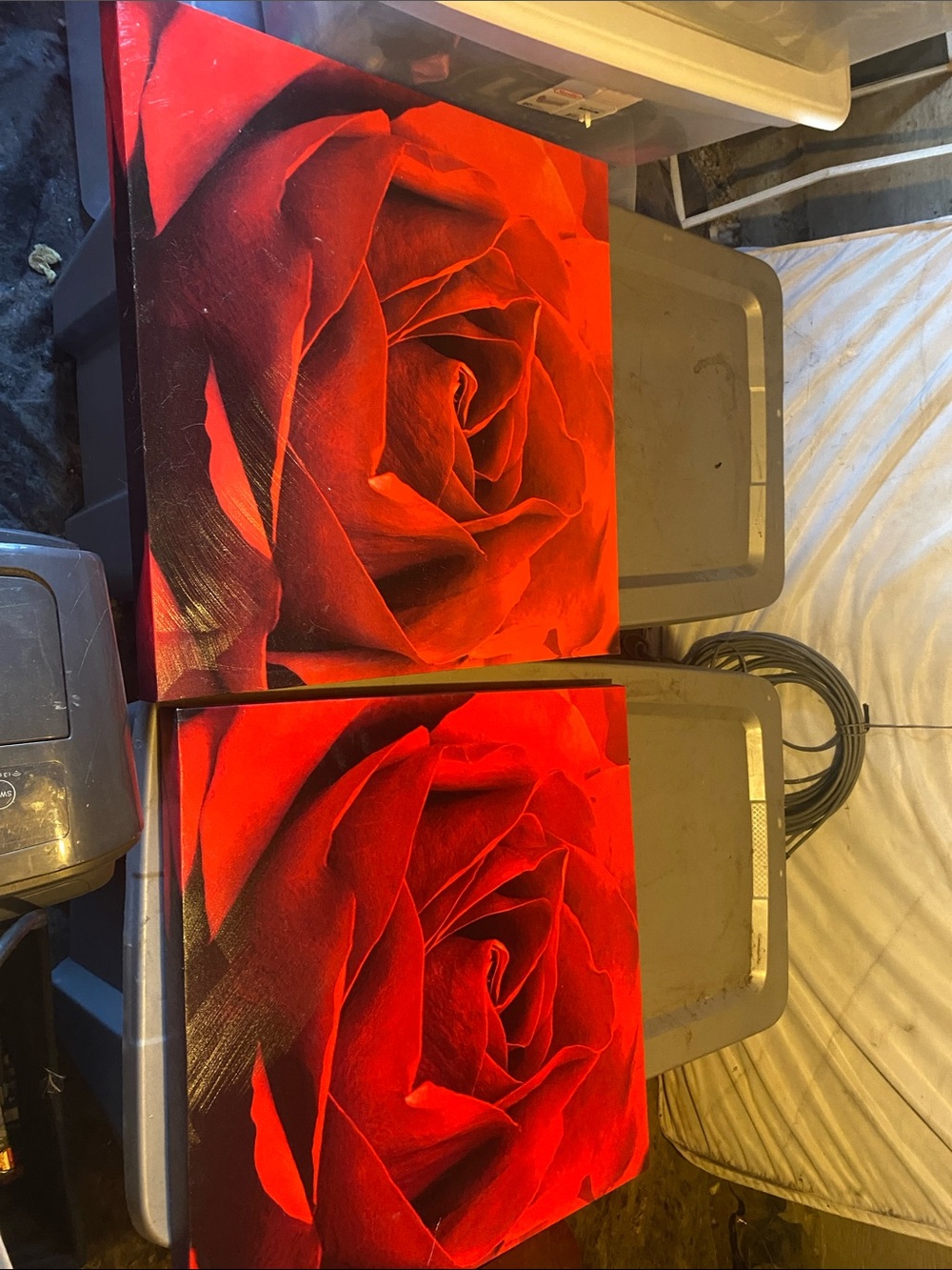 Bold Red Rose Canvas Pair - Vibrant Floral Wall Art
